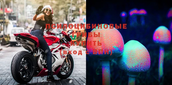 гашик Покровск