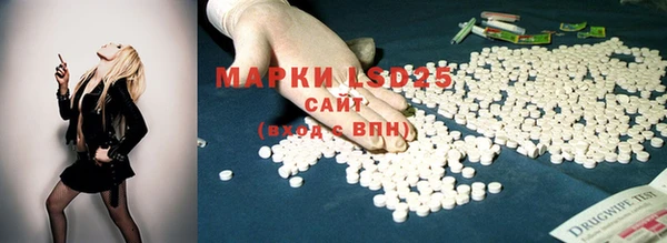 гашик Покровск
